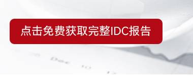 点击免费获取完整IDC报告