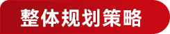 整体规划策略